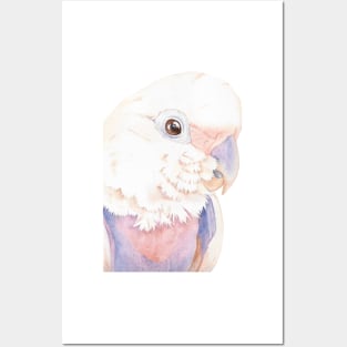 Goffin Tanimbar corella cockatoo watercolor portrait parrot name Buckley V2 Posters and Art